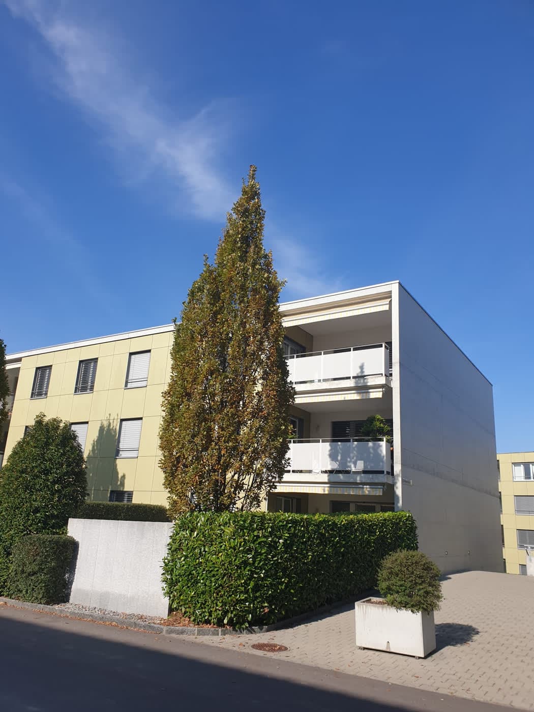 Wohnhaus mit olivgrüner Plattenfassade und weissen Balkonbrüstungen hinter einer Säuleneiche